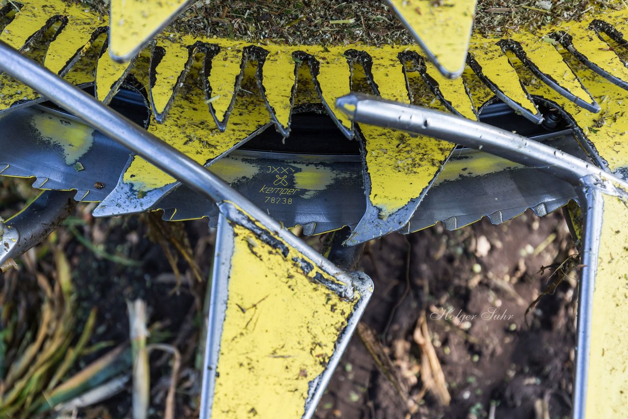 Bild 244 - Maisernte